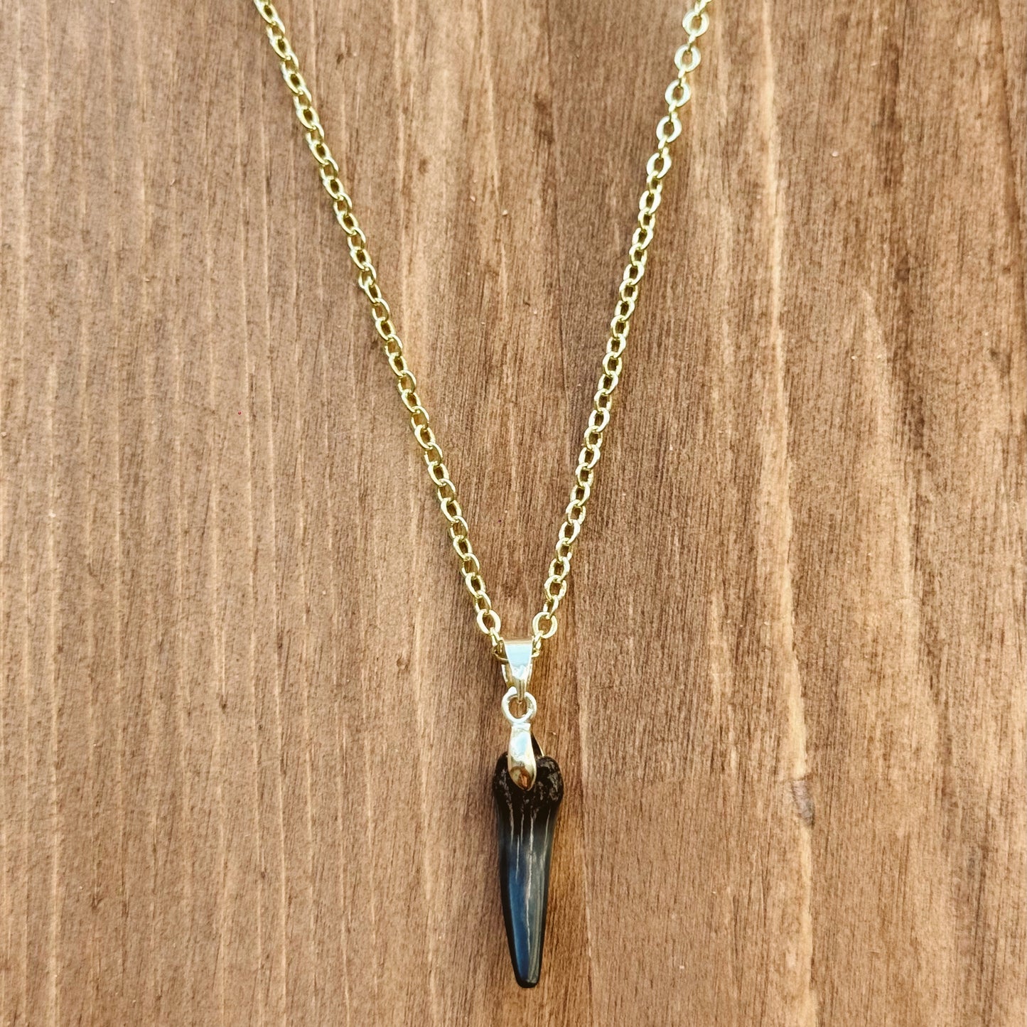 fossil sand tiger pendant necklace