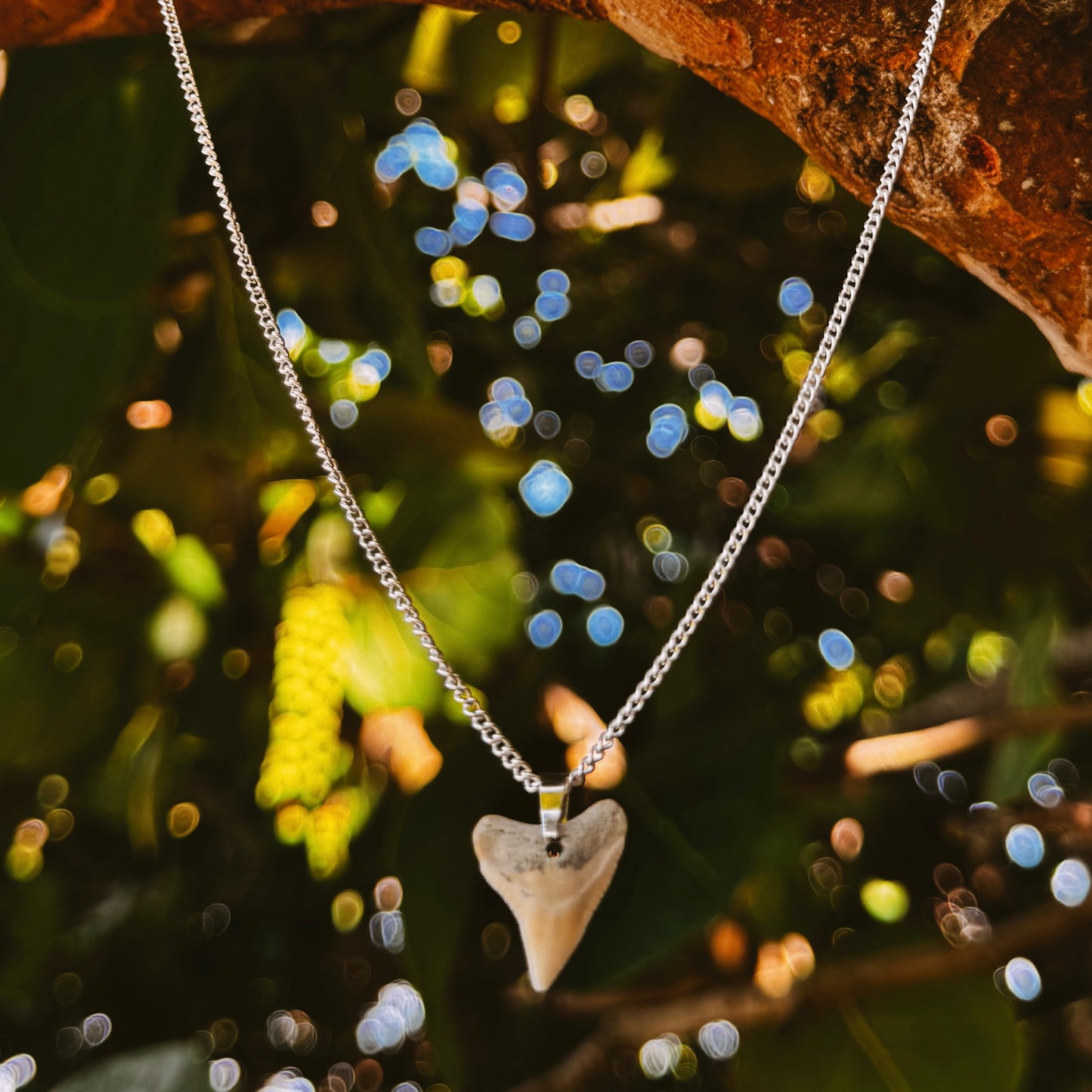 white bullshark necklace