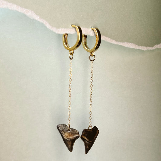 bull shark drop huggies