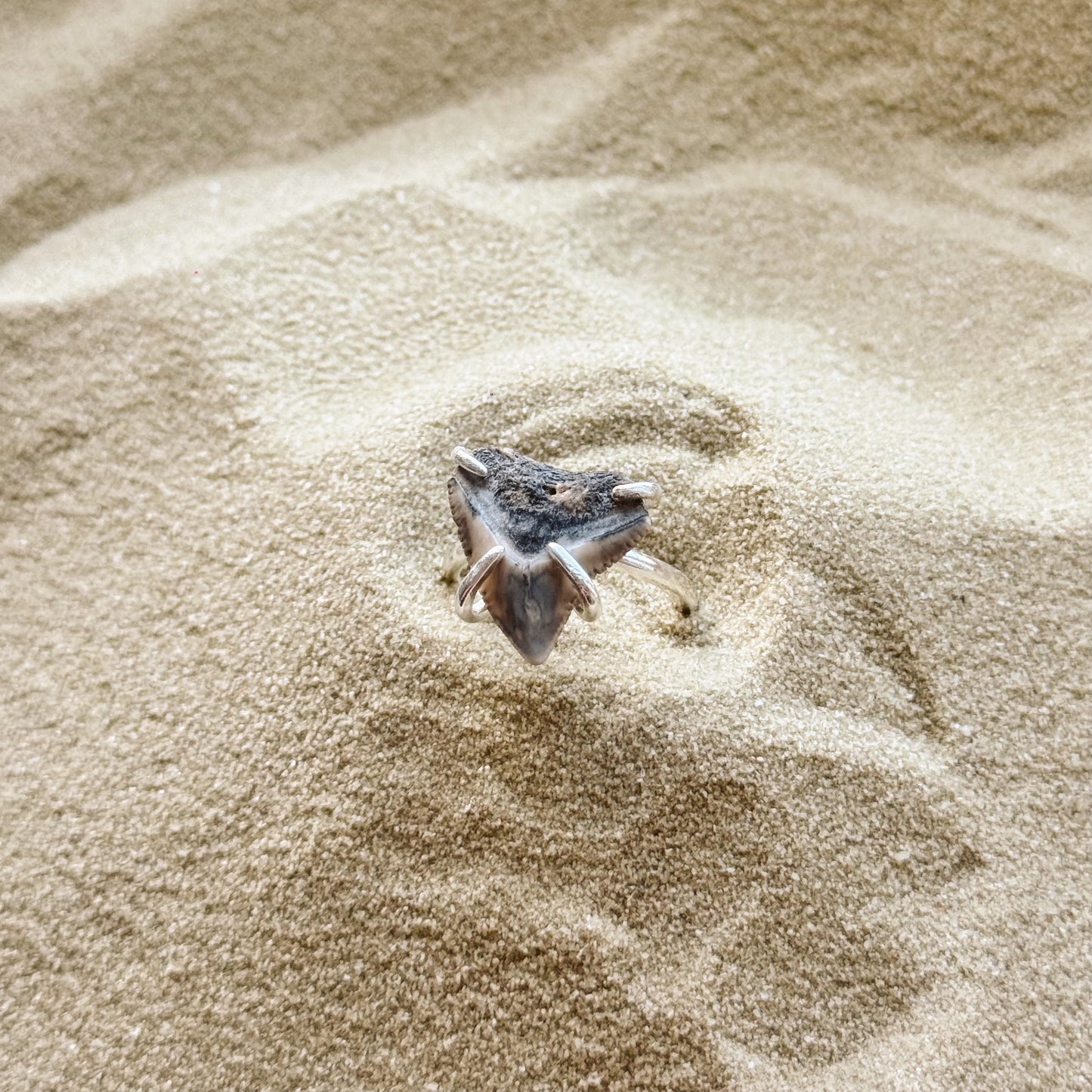adjustable bull shark ring