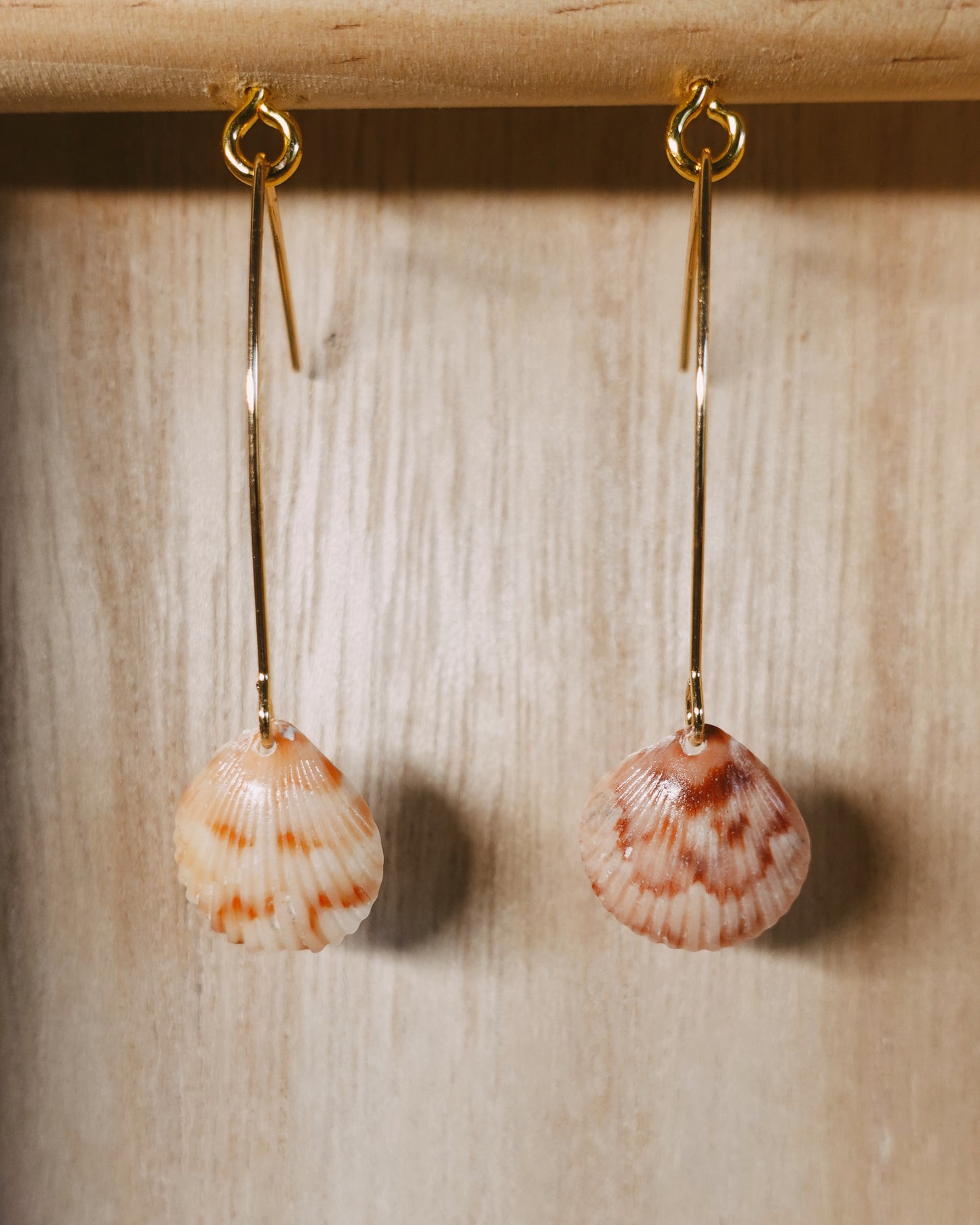 baby seashell earrings