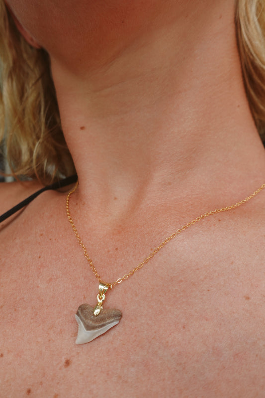Bull Shark Pendant Necklace