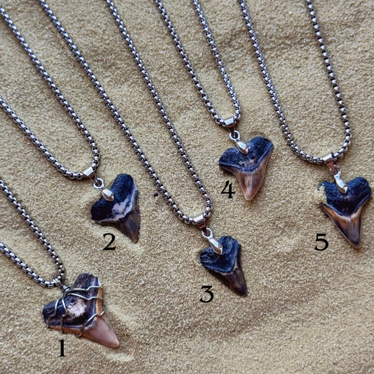 men’s bullshark necklace 18” box chain