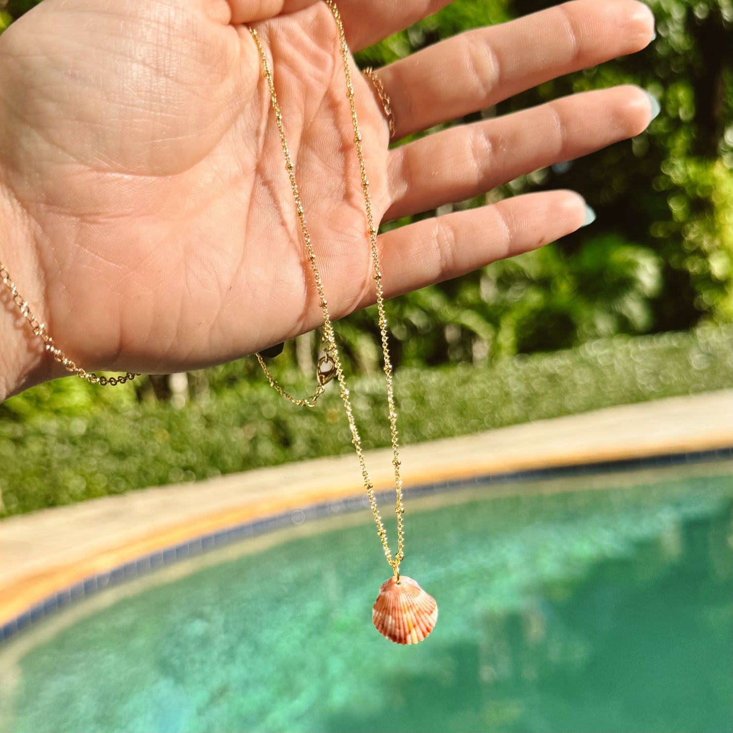 dainty scallop shell satellite necklace