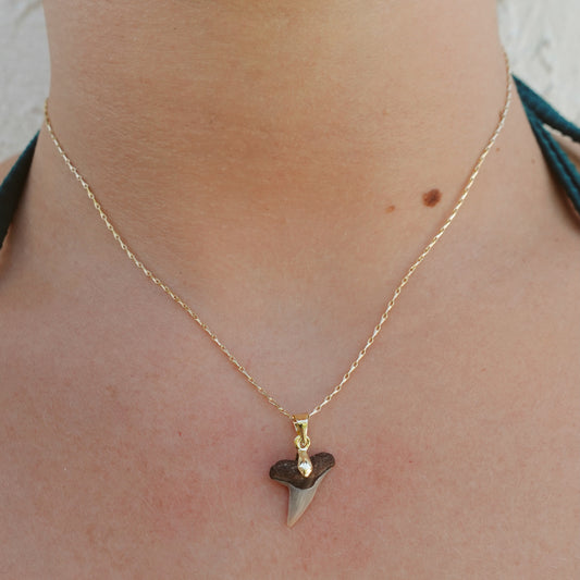 lemon shark pendant necklace