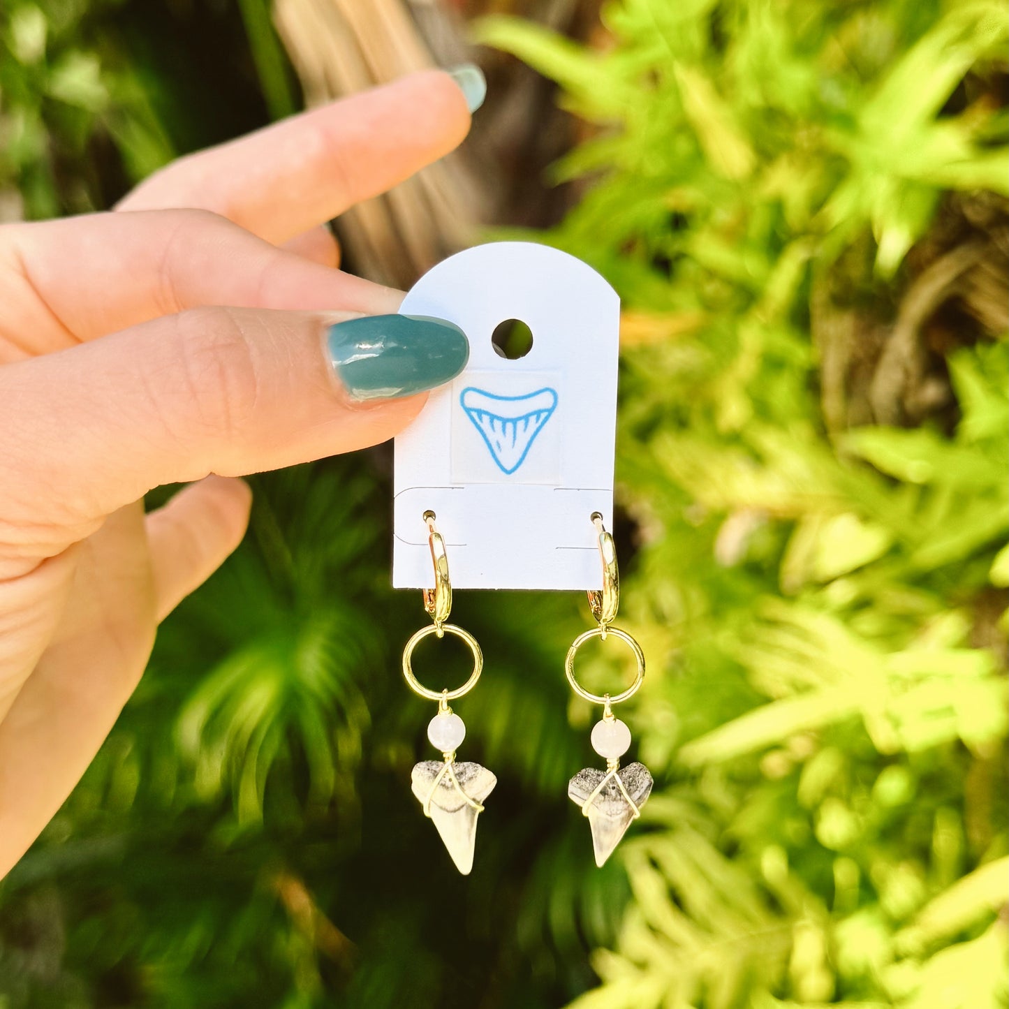 lapis and bull shark huggies