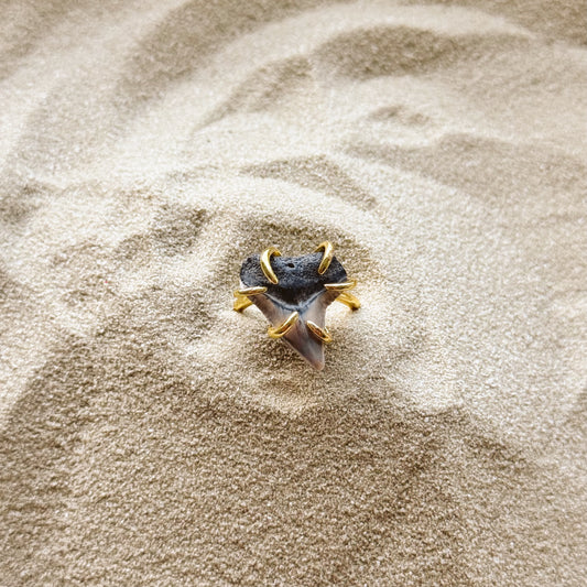 adjustable bull shark ring