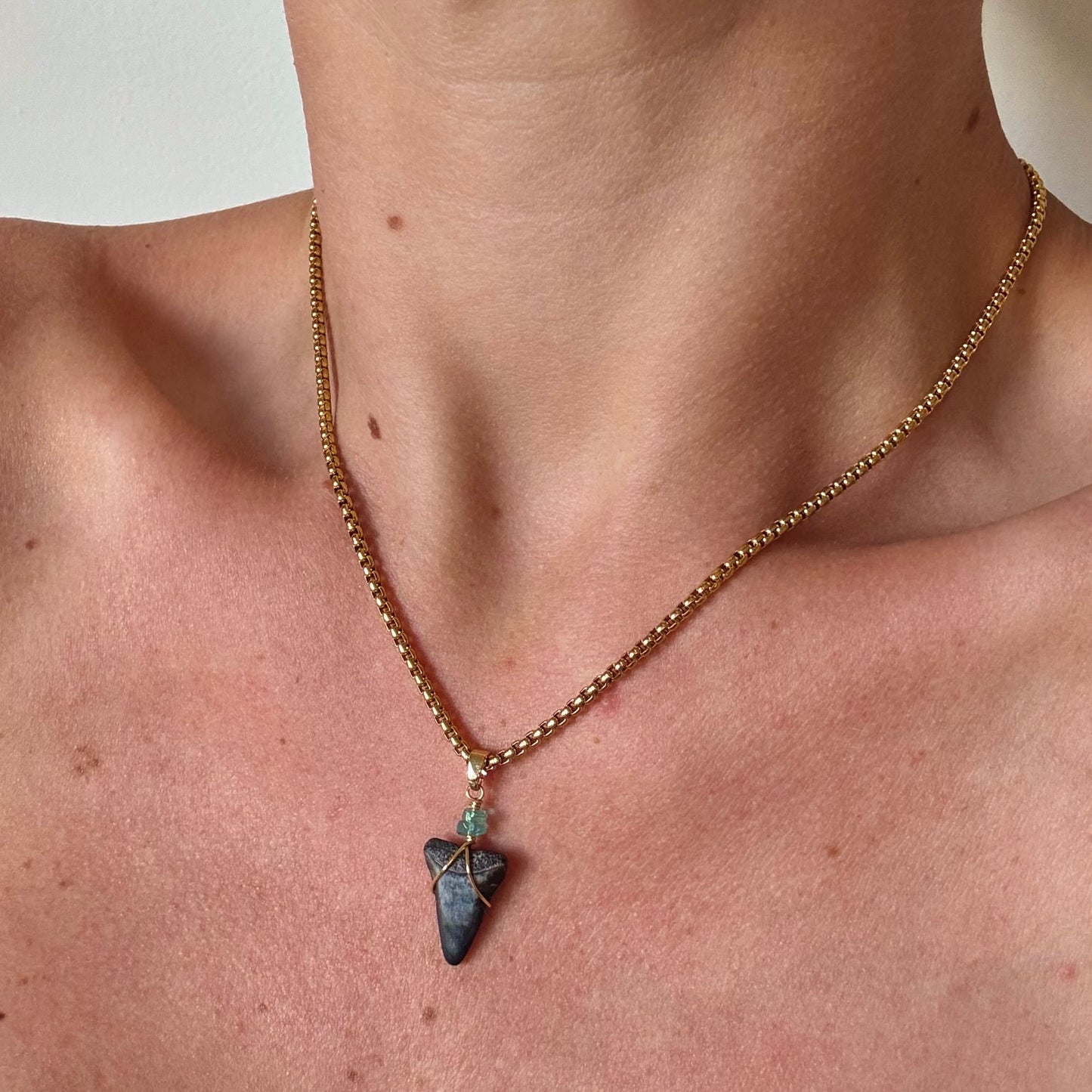 mariner necklace - fossil great white