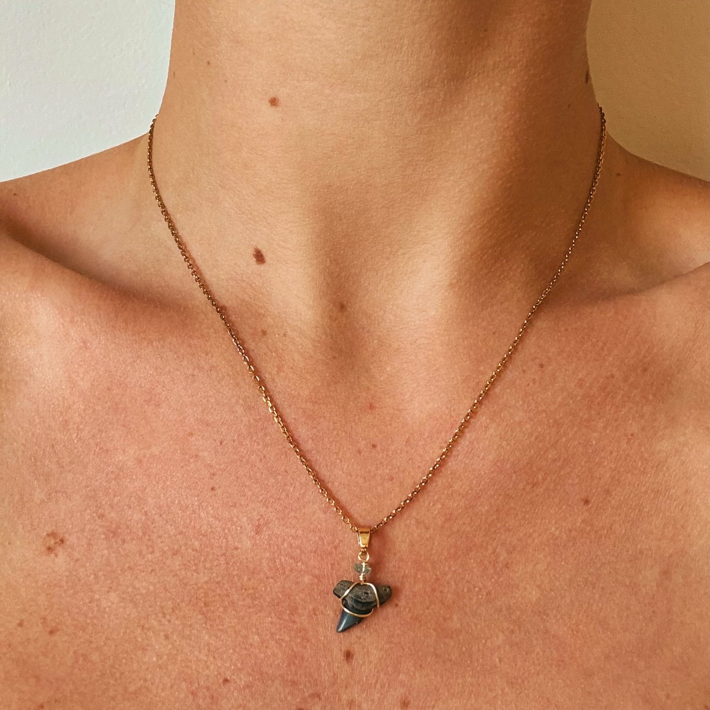 apex necklace - fossil thresher