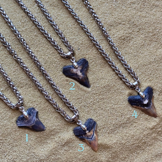 men’s bullshark necklace 18” wheat chain