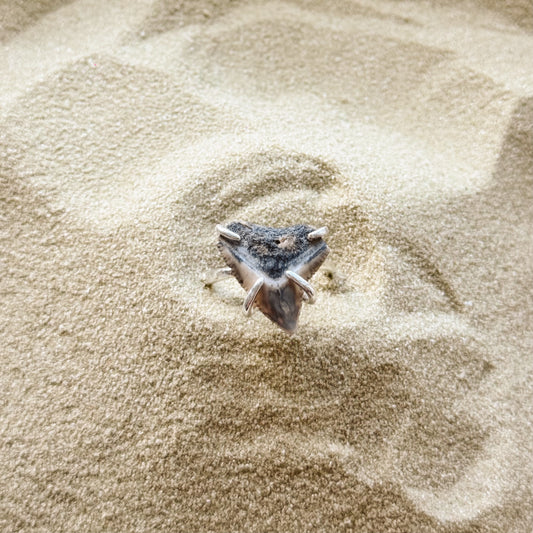 adjustable bull shark ring