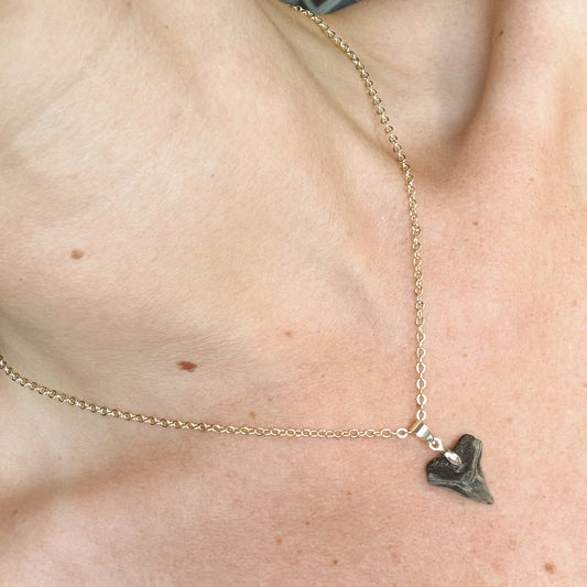 juno necklace - bull