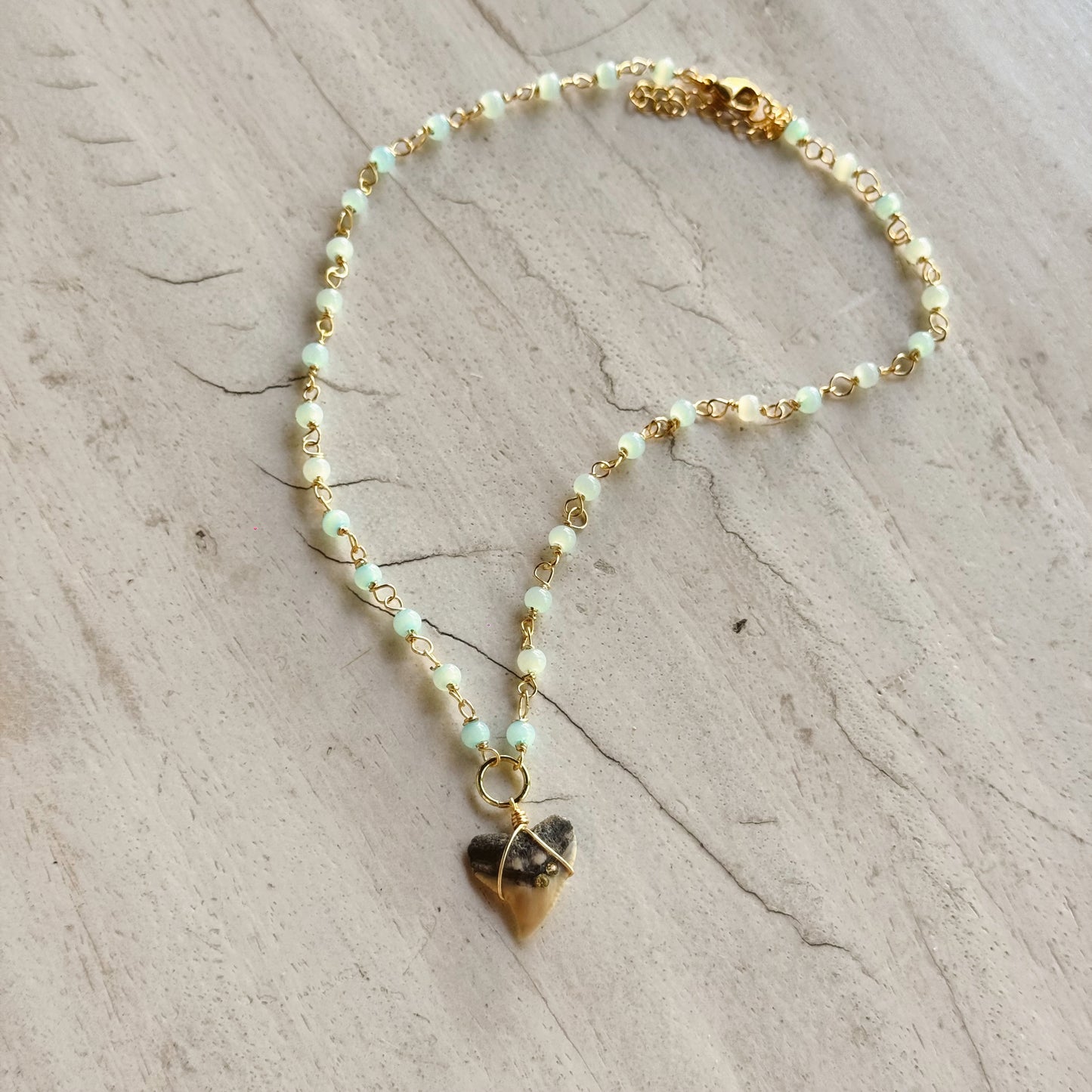 turks necklace - bullshark tooth