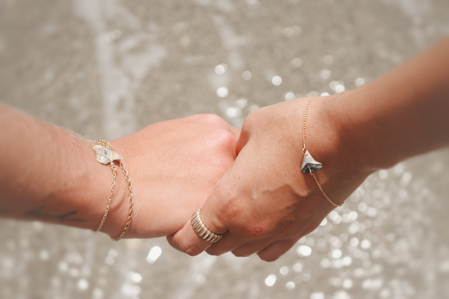 Bull Shark Bracelet