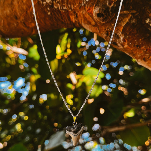 sterling silver bull shark necklace