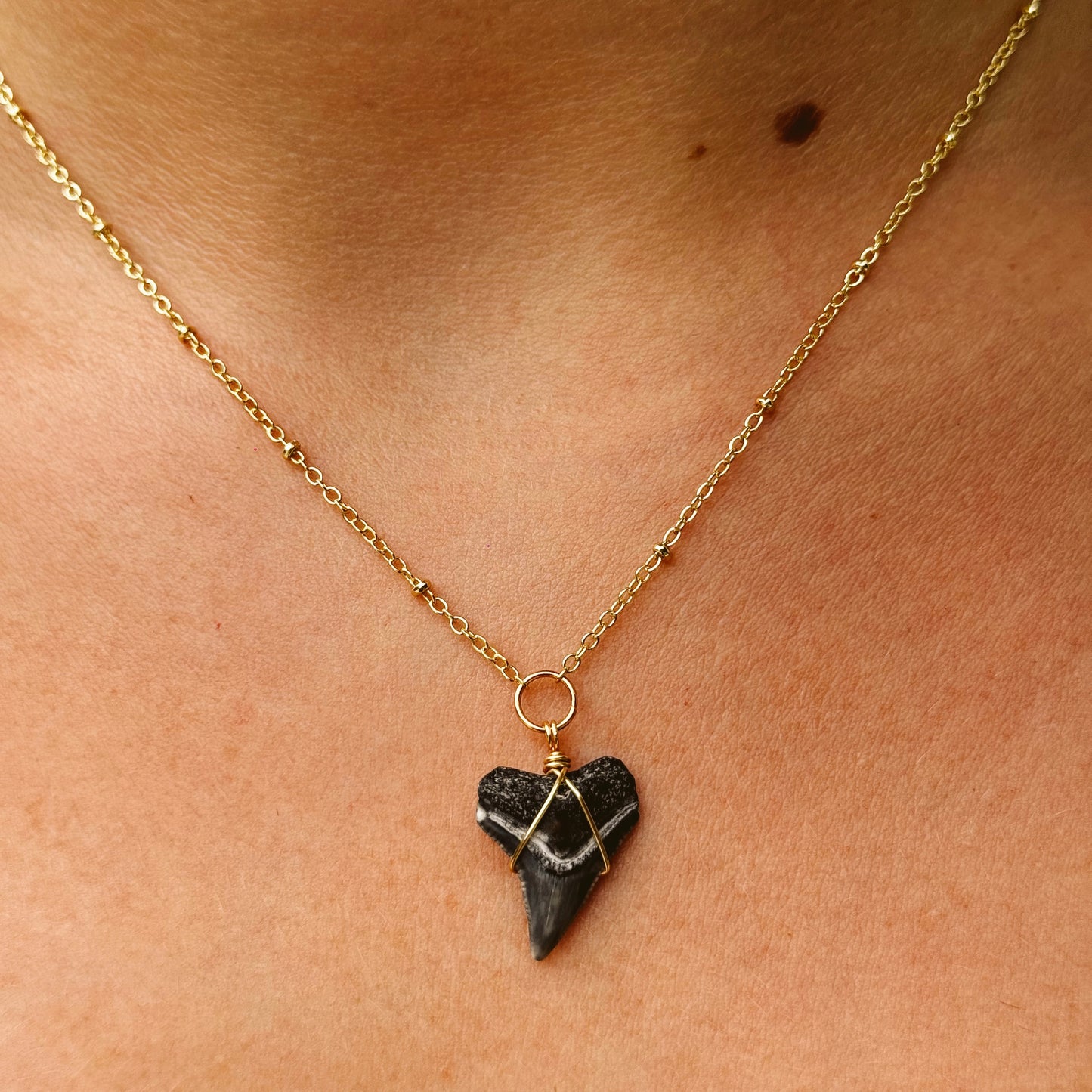 azure necklace - fossil bull