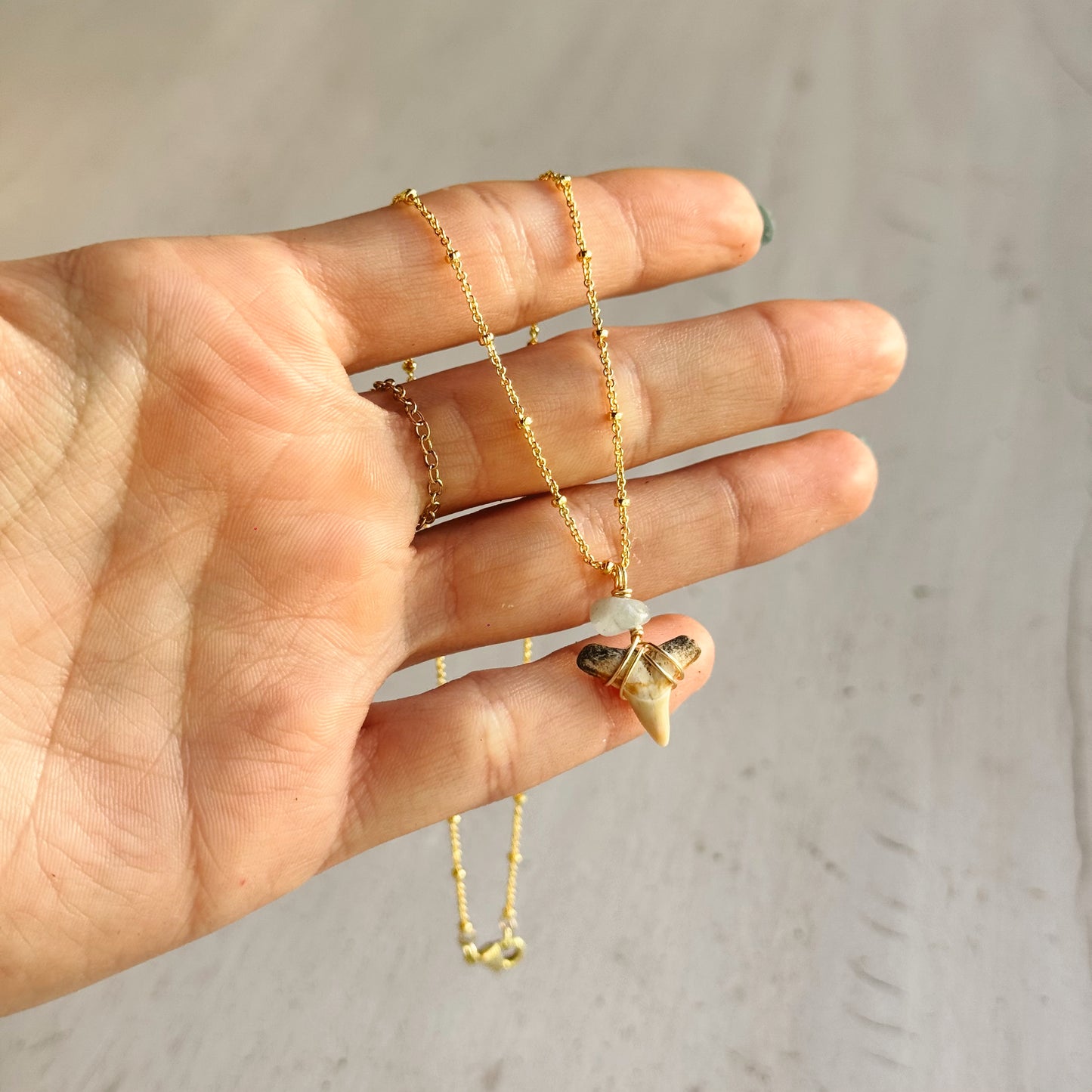 lemon shark satellite necklace