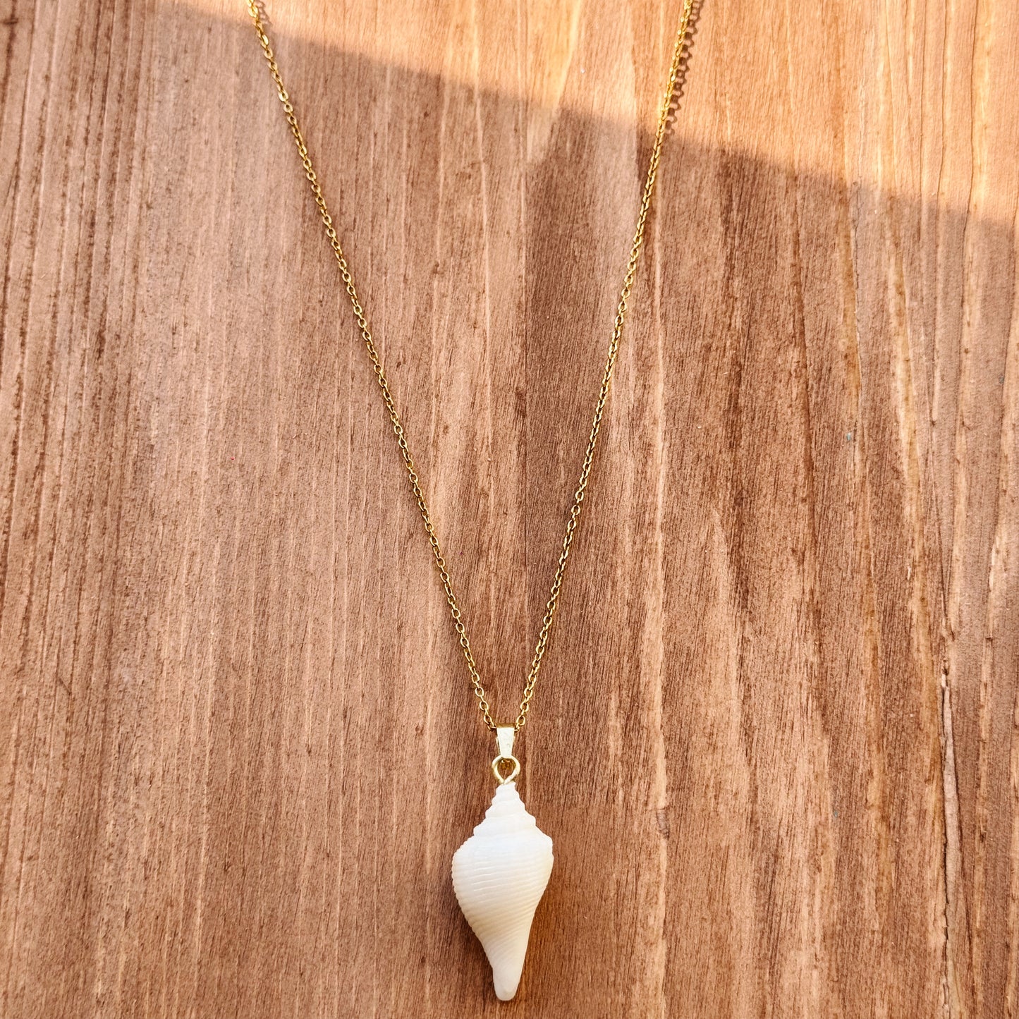 albino florida fighting conch necklace