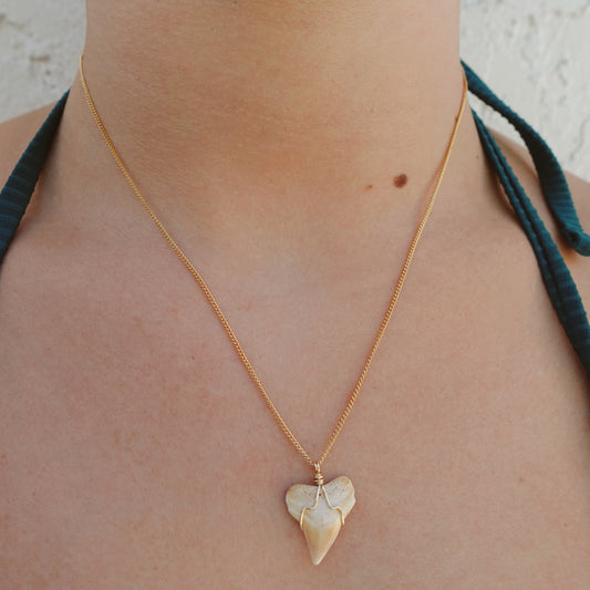 orange bull necklace
