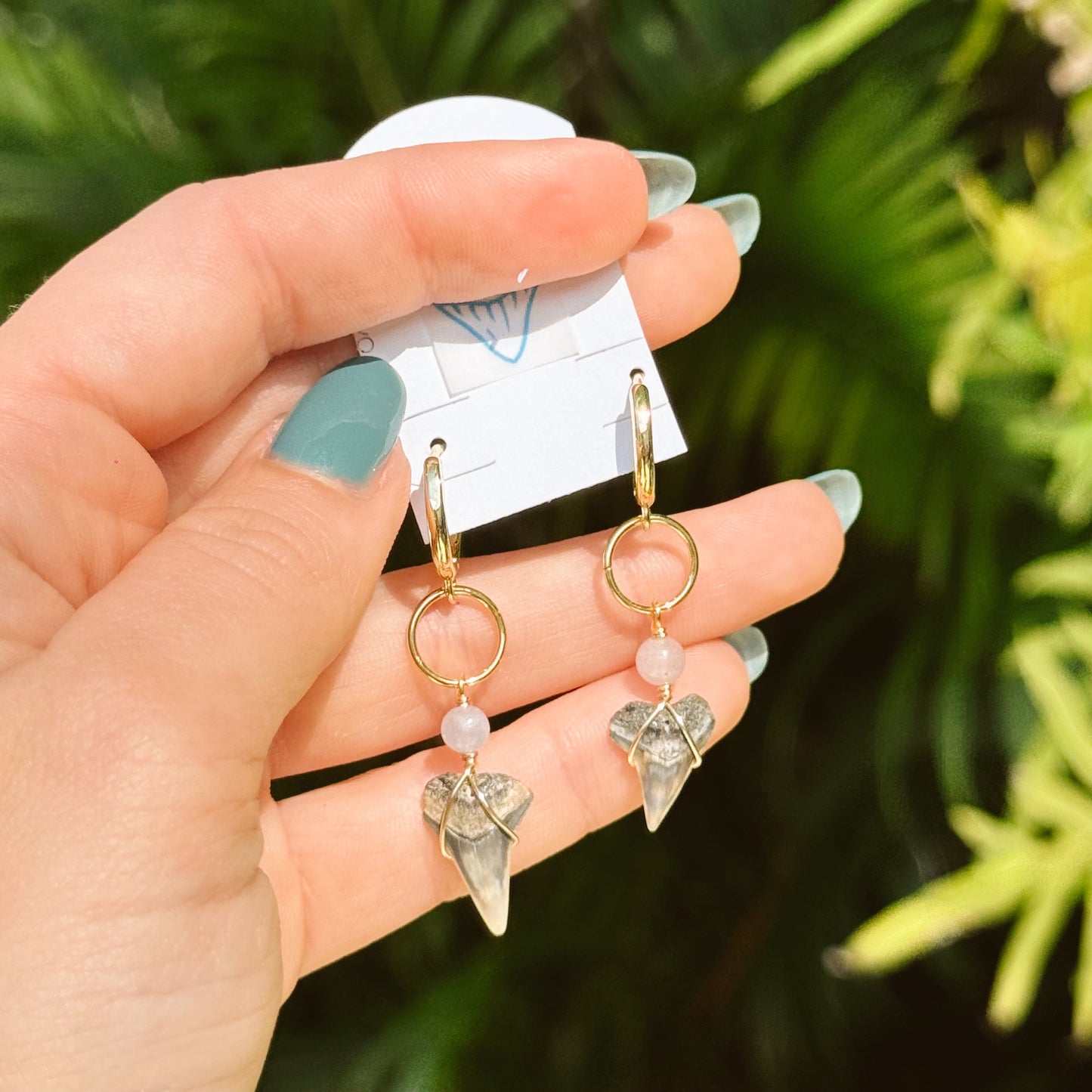 lapis and bull shark huggies