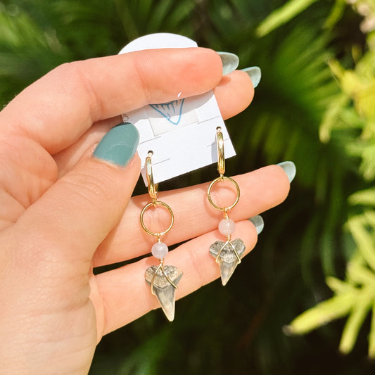 lapis and bull shark huggies