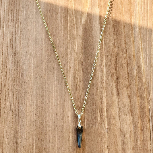 fossil sand tiger pendant necklace