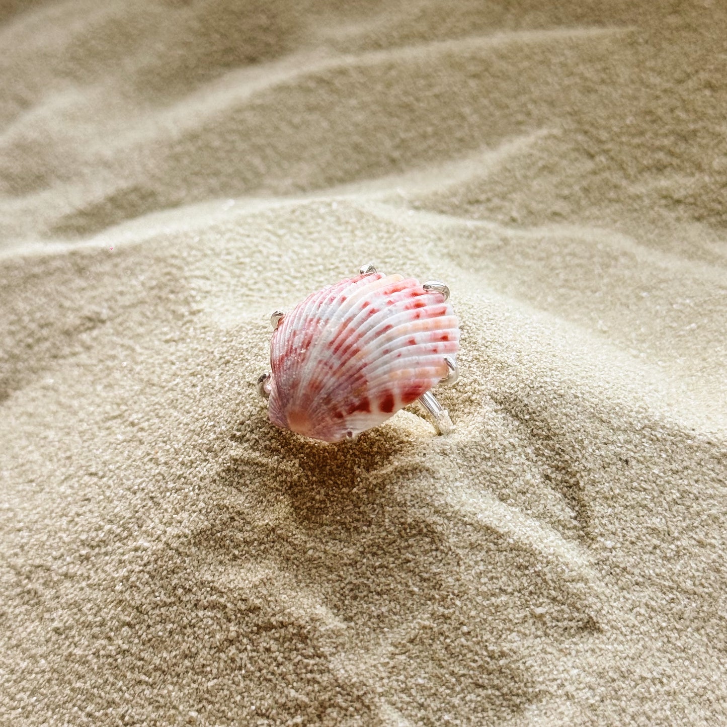 adjustable sea shell ring