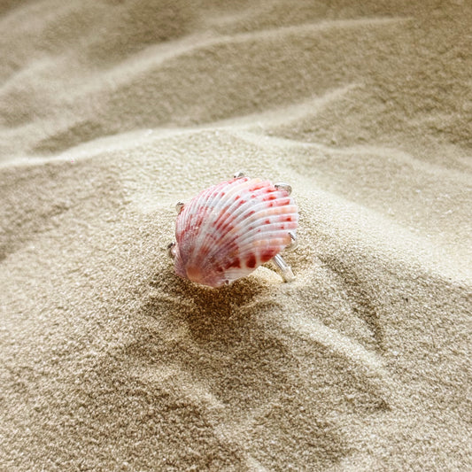 adjustable sea shell ring