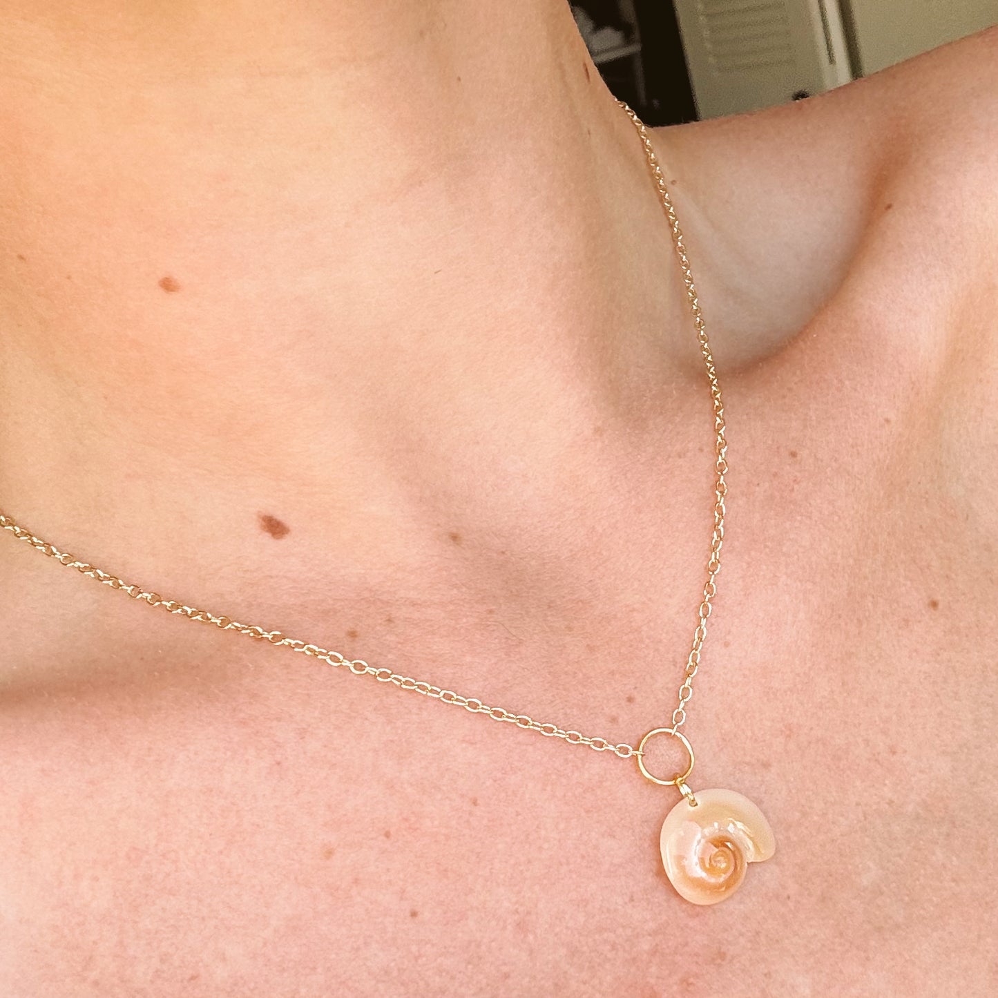 shark eye seashell necklace