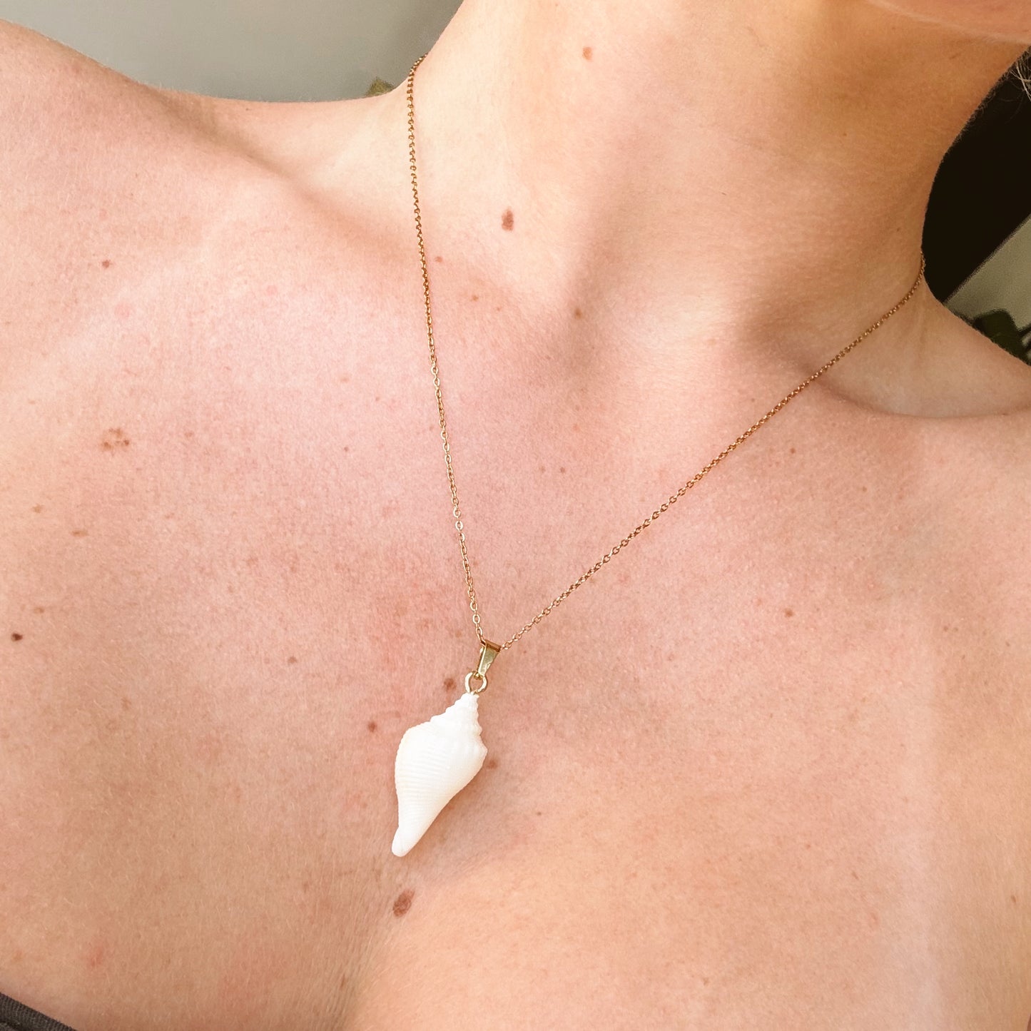 albino florida fighting conch necklace