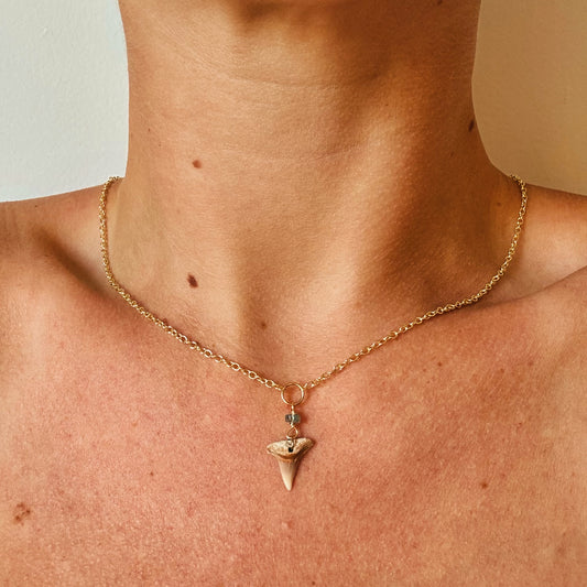abaco necklace - lemon shark