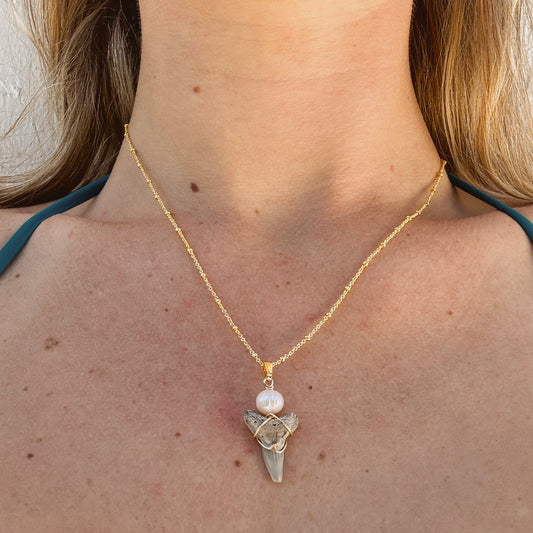 lower bull wave tooth necklace