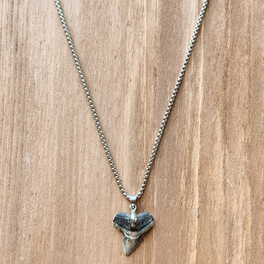 men’s bullshark necklace