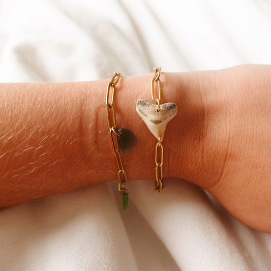 bull shark bracelet
