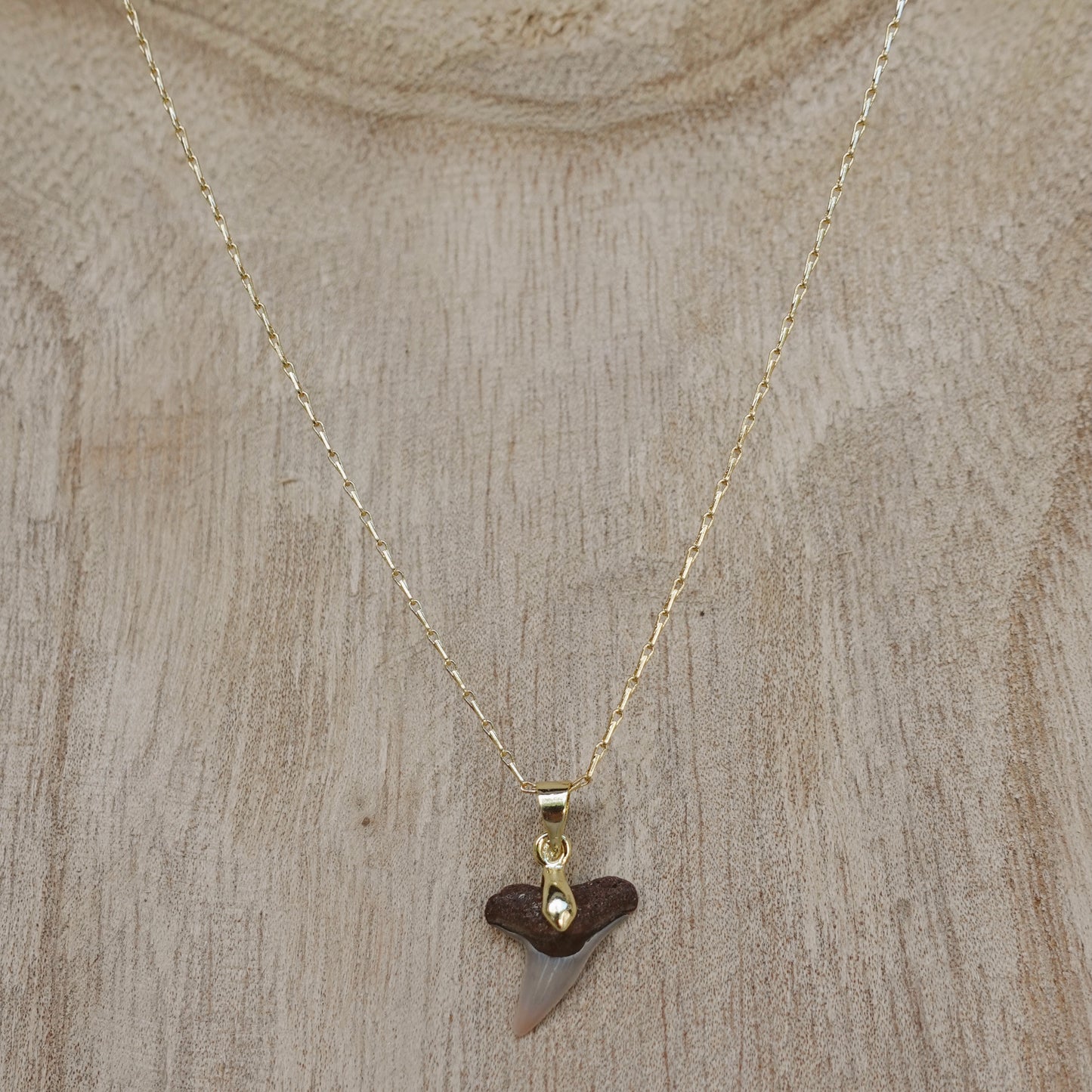 lemon shark pendant necklace