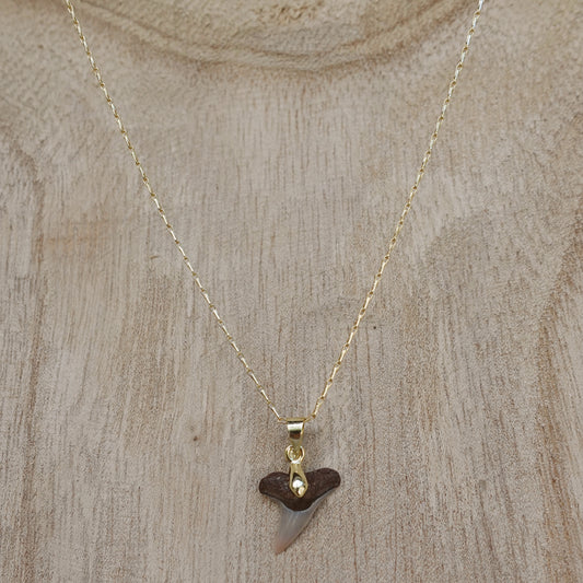 lemon shark pendant necklace