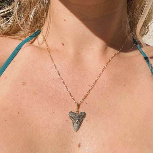 bull shark wave necklace