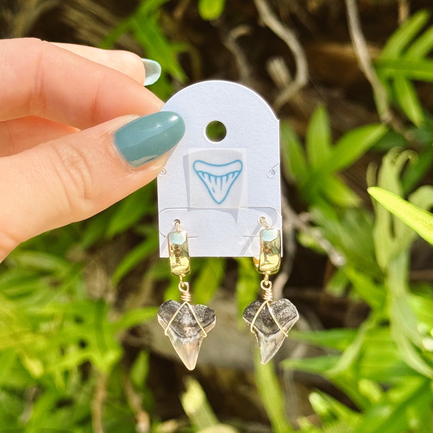 chunky bull shark hoops