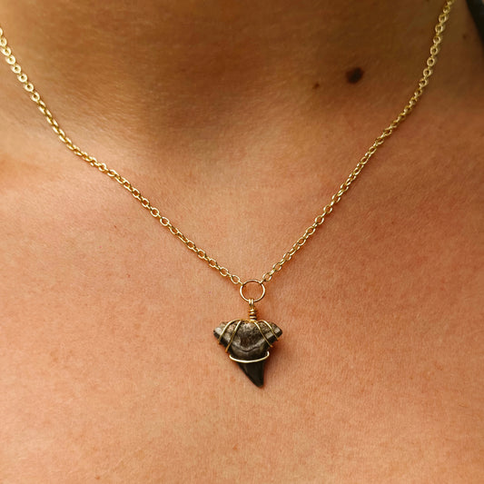 azure necklace - fossil bull