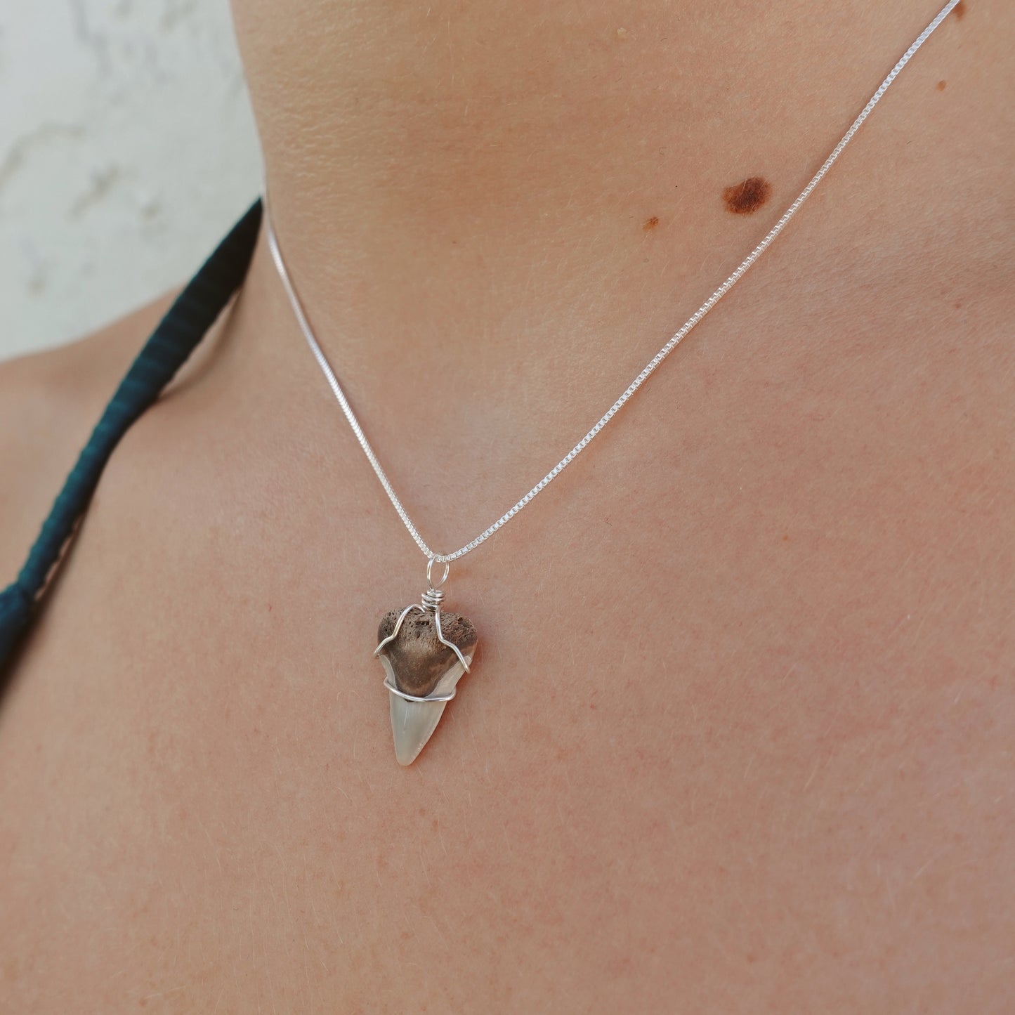 sterling silver bullshark necklace