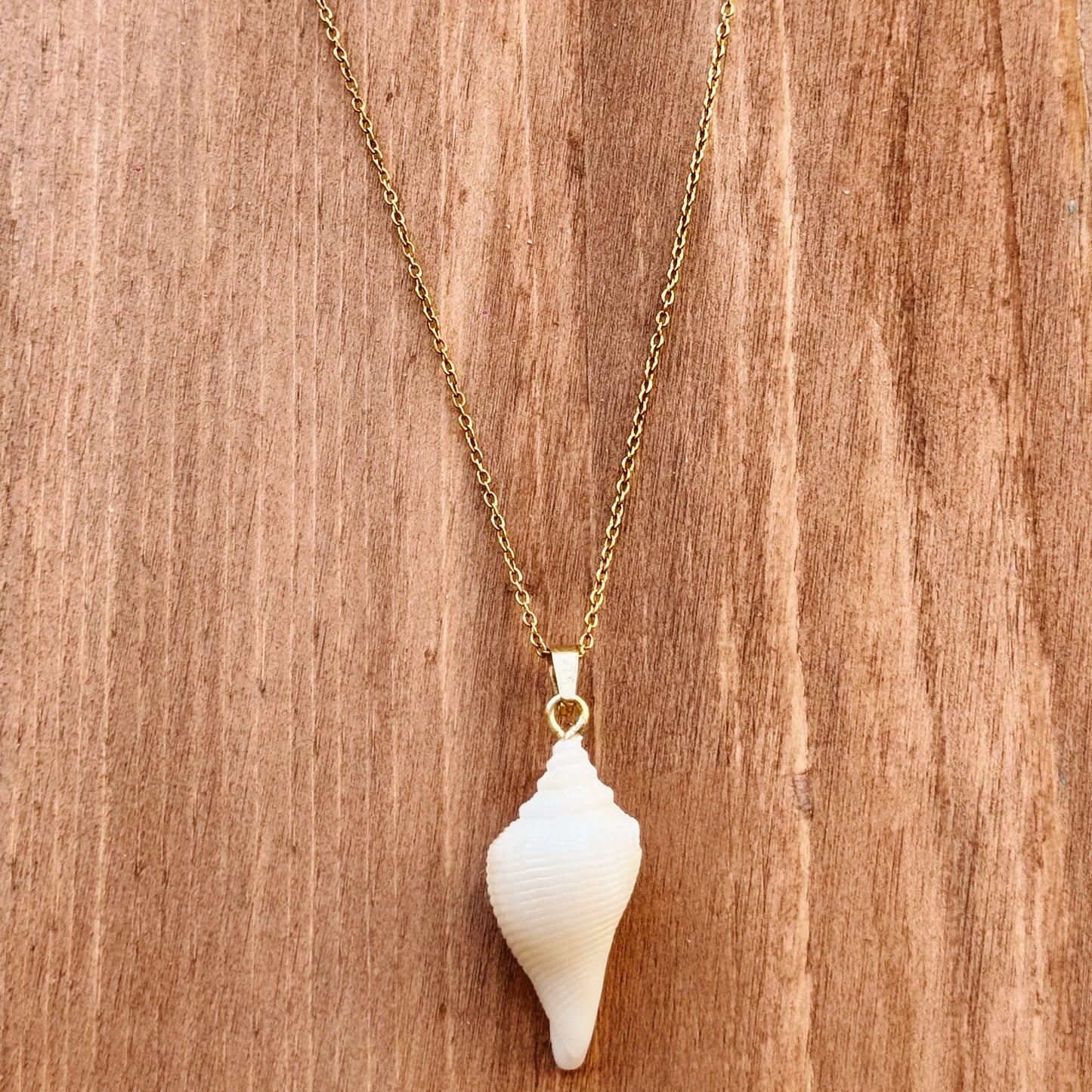albino florida fighting conch necklace