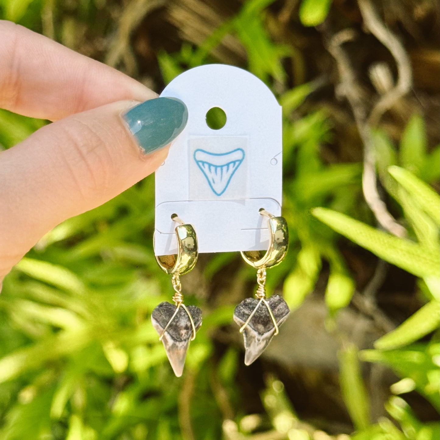 chunky bull shark hoops