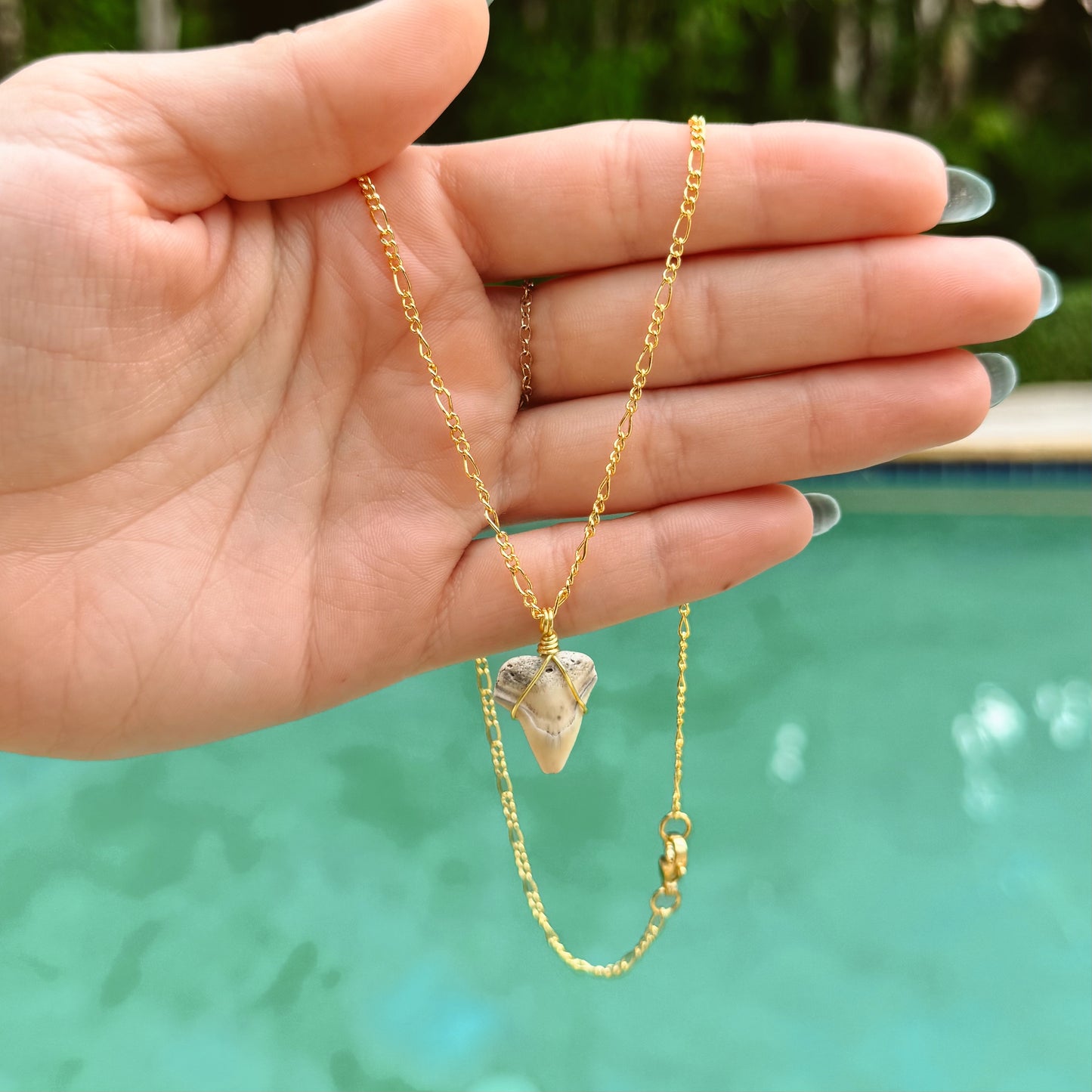 white bull shark figaro necklace