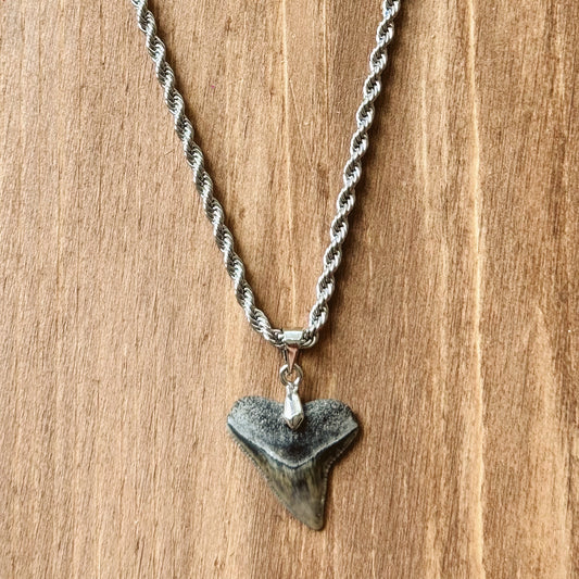 men’s bull shark necklace