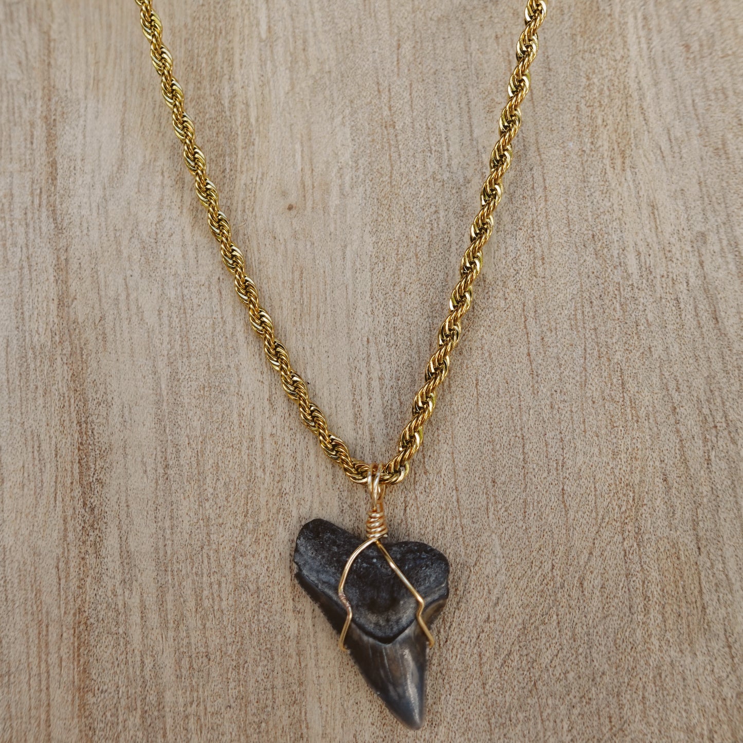 men’s bullshark necklace