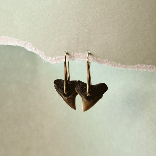bull shark pendant earrings
