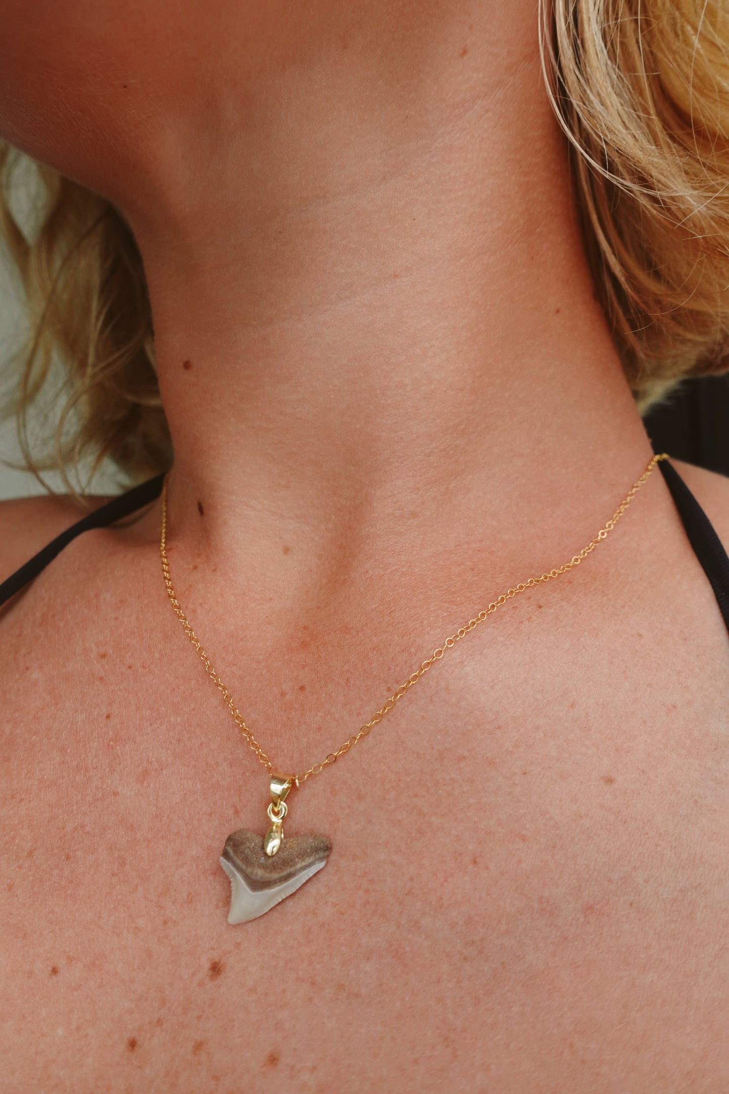 Bull Shark Pendant Necklace