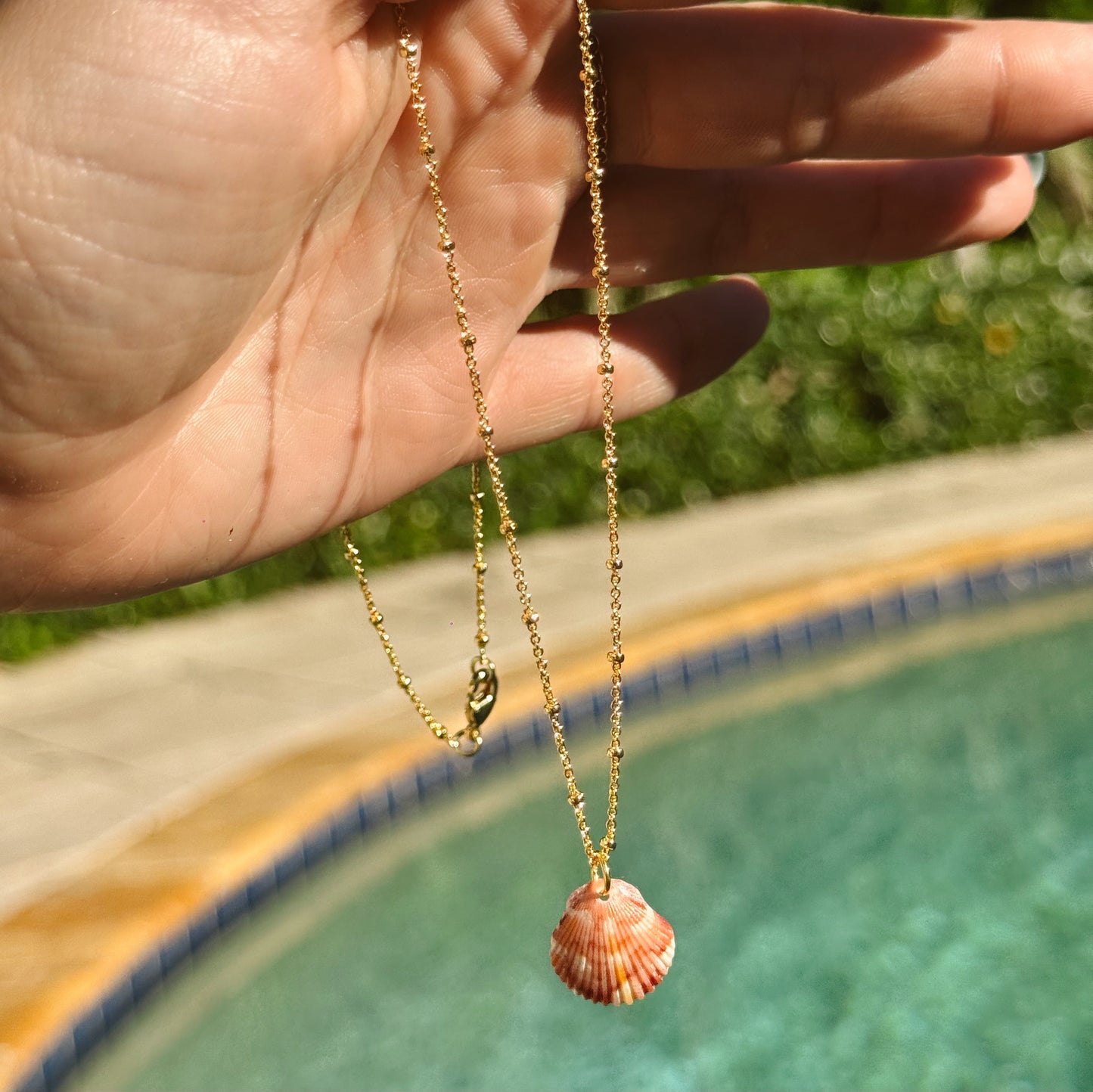 dainty scallop shell satellite necklace