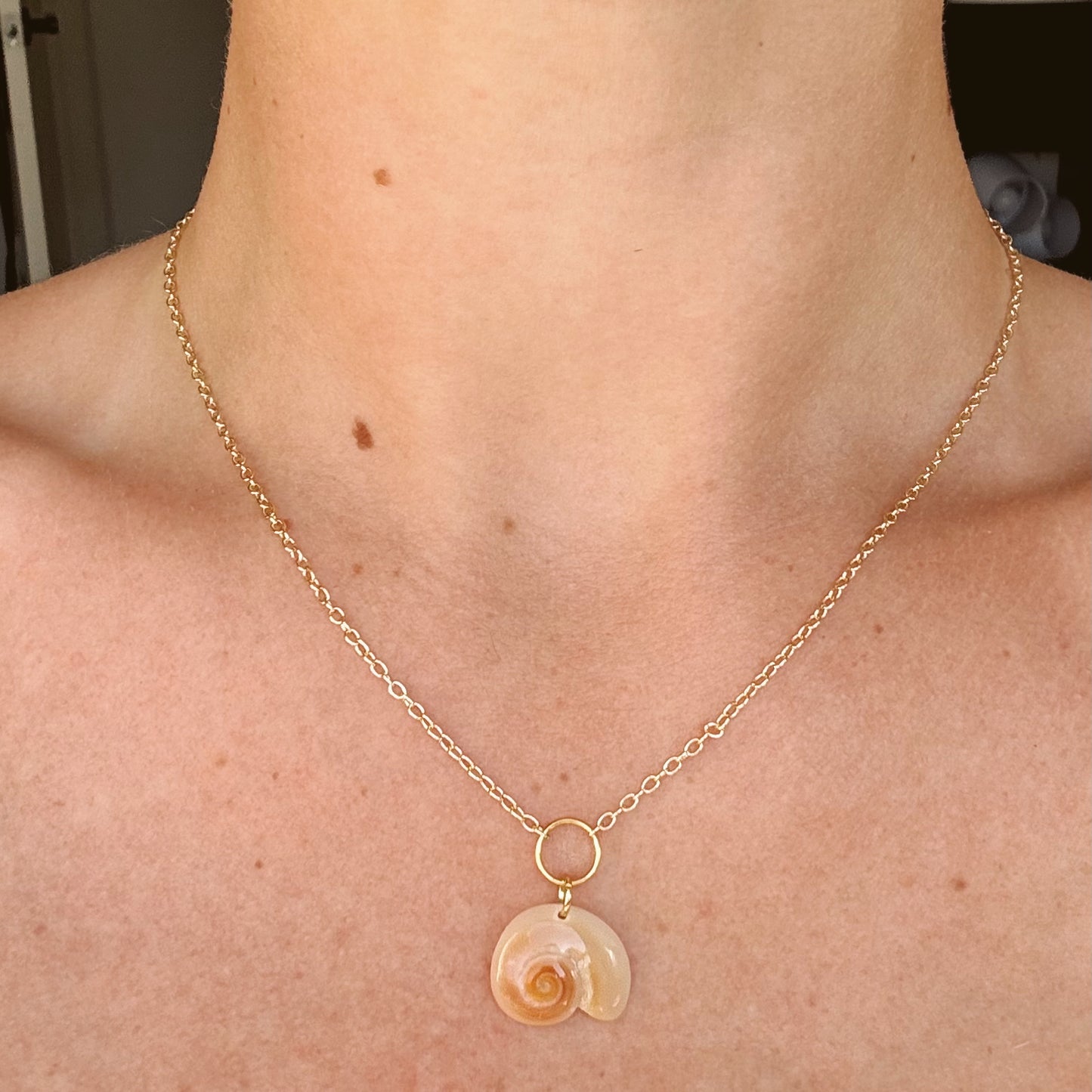 shark eye seashell necklace