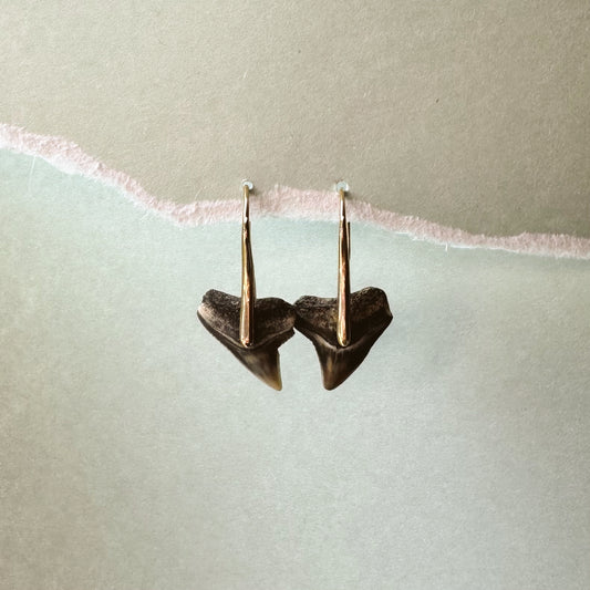 bull shark pendant earrings